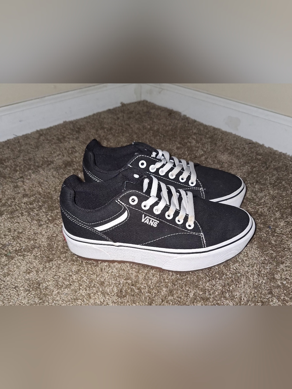 Vans Black and White Low-Top Skate Sneakers